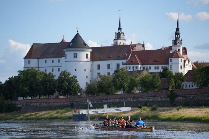 Ruderer auf der Elbe - im Hintergrund Schloss Hartenfels